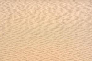 wind ripples on the sandy surface in the desert photo