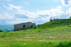 sheep behind a chain-link fence and a dilapidated stone hut on a mountain pasture photo