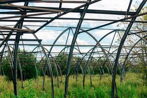 ruins of the greenhouse complex among thickets, decline of agriculture photo