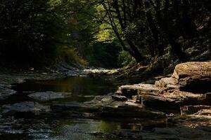 garganta con montaña corriente cama con cascada de quinielas en tropical bosque foto