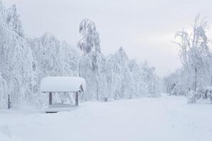 wooden gazebo with picnic table in a snowdrift after a heavy snowfall in a frosty winter park photo