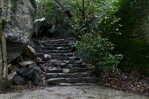 escalera hecho de natural Roca Entre rocas en antiguo paisaje parque foto