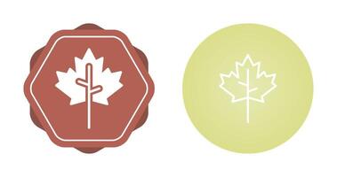 Maple leaf Vector Icon