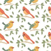 Seamless pattern, cute bright birds on tree branches on a white background. Spring illustration in flat cartoon style. Vector