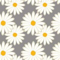 Seamless pattern, white daisies on a gray background, Background, print, textile, wallpaper, vector