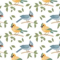 Seamless pattern, cute bright birds on tree branches on a white background. Spring illustration in flat cartoon style. Vector