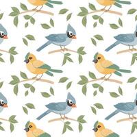 Seamless pattern, cute bright birds on tree branches on a white background. Spring illustration in flat cartoon style. Vector