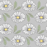 Seamless pattern, white daisies on a gray background, background, print, textile, wallpaper, vector