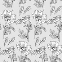 Seamless pattern, hand drawn outline echinacea flowers on a gray background. Background, print, textile, wallpaper, vector
