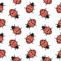 Seamless pattern, ladybugs on a white background. Insect background, textile, print, vector