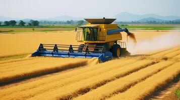 combinar segador trabajando en trigo campo. foto