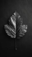 AI generated Midnight Leaf Elegance in Black photo