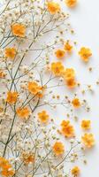 AI generated Gypsophila Glow Yellow Blooms from Above photo