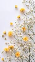 AI generated Gypsophila Glow Yellow Blooms from Above photo