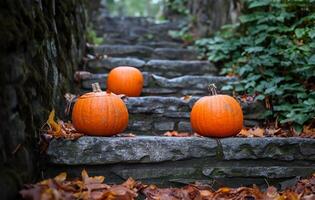 AI generated Pumpkin Decorations on Stone Steps photo