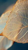 AI generated Leaf Skeleton Whispers in Dried Fibers photo