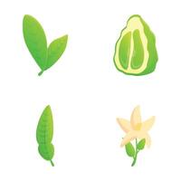 Lime icons set cartoon vector. Fresh organic green citrus vector