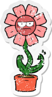 distressed sticker of a angry cartoon flower png