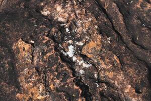 marrón rock textura en parte superior ver sirve como un único y cautivador. naturaleza desde parte superior de colina. foto