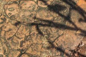 Brown rock texture with shadow of tree.  Nature from top of hill. photo