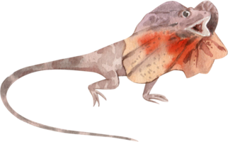 Cartoon amphibians and reptiles watercolor clipart png