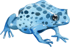 Cartoon amphibians and reptiles watercolor clipart png