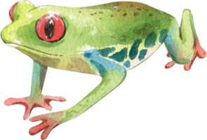 Cartoon amphibians and reptiles watercolor clipart png