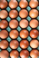 Brown egg carton close up photo