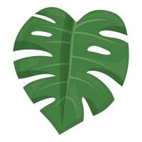 Spring monstera icon cartoon vector. Jungle plant vector