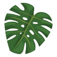 Decoration monstera icon cartoon vector. Tropical jungle vector