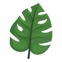 Flora tropical leaf icon cartoon vector. Green plant vector