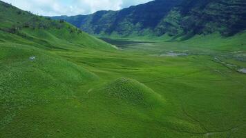 aéreo Visão do Largo e lindo verde prados. grande savana com pequeno colinas e caminhos para pedestres. paralaxe zangão tiro movimento do verde savana dentro bromo áreas. video