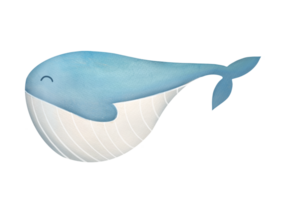 acuarela adorable ballena. linda dibujos animados marina submarino animal. acuarela mano dibujado ilustración aislado en transparente antecedentes. infantil Arte con tipo personaje para libros acerca de mar y Oceano png