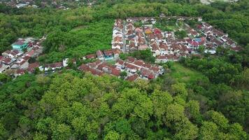 Residential surrounded lush trees forest. Aerial drone view of residential and tropical woodland at afternoon. Cinematic drone movement. video