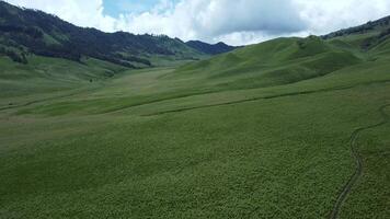 aéreo ver de amplio y hermosa verde prados vasto sabana con pequeño rutas para peatones enfocar en zumbido disparar movimiento de sabana en bromo áreas video