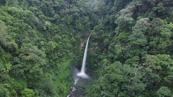 aéreo ver de cascada en el tropical verde selva. hermosa cascada ver con zumbido disparar cinematográfico movimiento en este Java, Indonesia. video