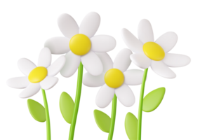 3d realistic daisies, grass and leaves png