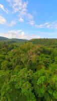dynamisk fpv flyg över tropisk träd, flod och vattenfall i de frodig djungel i thailand video
