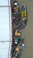 Cai Rang Floating Market in the Mekong Delta in Vietnam video