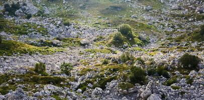 green rocky mountain plateau in sunbeams photo