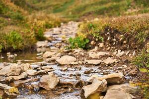 small rocky stream among the grass close-up photo