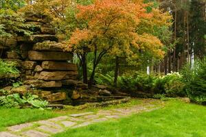 lawn among decorative bushes with a path and artificial rock made of stone slabs photo