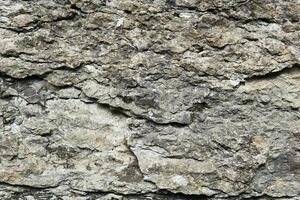 background, texture - rough gray limestone rock photo