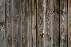 background, texture - plank fence from unpainted boards photo