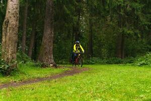 equipado ciclismo turista en un sendero en el bosque foto