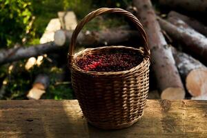 wicker basket with red currant berries on rustic background photo