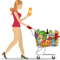 Frau mit Supermarkt Einkaufen Wagen png