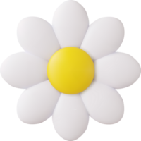 3d colorful daisy flower png