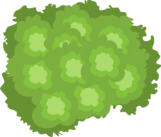 Trees top view. png