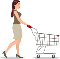 shopping donna con un' carrello png